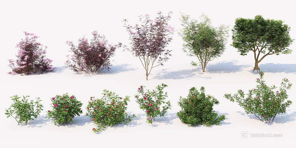 Various Types of Flowering Shrubs with Colorful Foliage and Different Sizes 3d model 