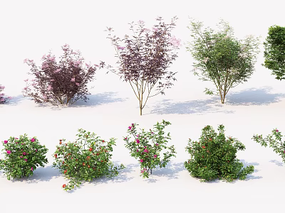 Various Types of Flowering Shrubs with Colorful Foliage and Different Sizes 3d model