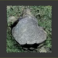 Rustic Wooden Stump Decorative Ornament With Natural Texture And Green Plants At Base