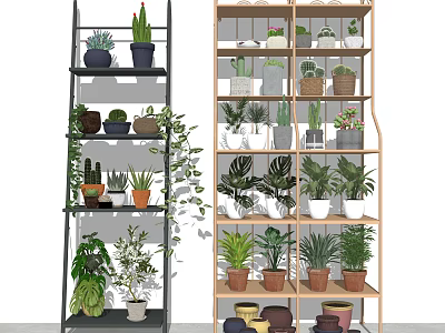 Indoor Garden Decor with Multi tiered Shelves Succulents and Potted Greenery 3d model