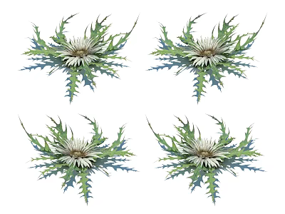 Four Illustrated Decorative Thistle Flowers with Green Leaves and White Petals for Home Decor 3d model