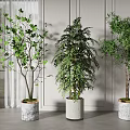 Pot SU model 3d model