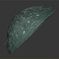 Green Oval Architectural Decorative Element With Intricate Carvings And Glossy Surface
