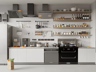Kitchen Supplies Combination Kitchen Appliances Range Hood Pots and Pans seasonings Bottle Hot Water Treasure Integrated Stove 3d model