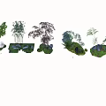 Diverse Plant Combinations For Garden Landscape With Mixed Greenery And Shrubs