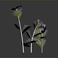 Purple Flowers With Green Leaves And White Stems On Dark Background With Reflection