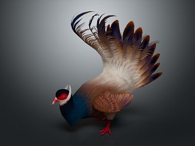 Modern pheasant 3d model