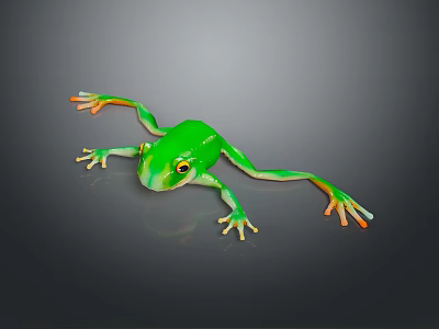 Vibrant Green Reptile With Orange Toes Resting On A Gray Background Surface 3d model