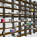 Spacious Well Organized Bookcase With Multiple Shelves Various Books Ladder And Desk
