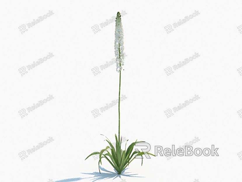 Modern Flower Himalayan One-Tail Grass Flowers model