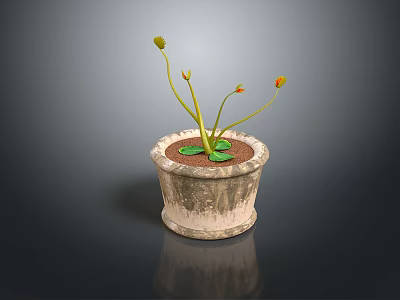 Potted Plant with Green Leaves and Orange Flowers in Textured Clay Pot with Reflection 3d model