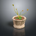 Potted Plant with Green Leaves and Orange Flowers in Textured Clay Pot with Reflection