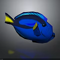 Blue Fish With Yellow Fins Black Eyes And Vibrant Coloration