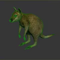 Realistic Brown Kangaroo Standing Pose 3D Model With Detailed Fur And Reflective Surface 3d model