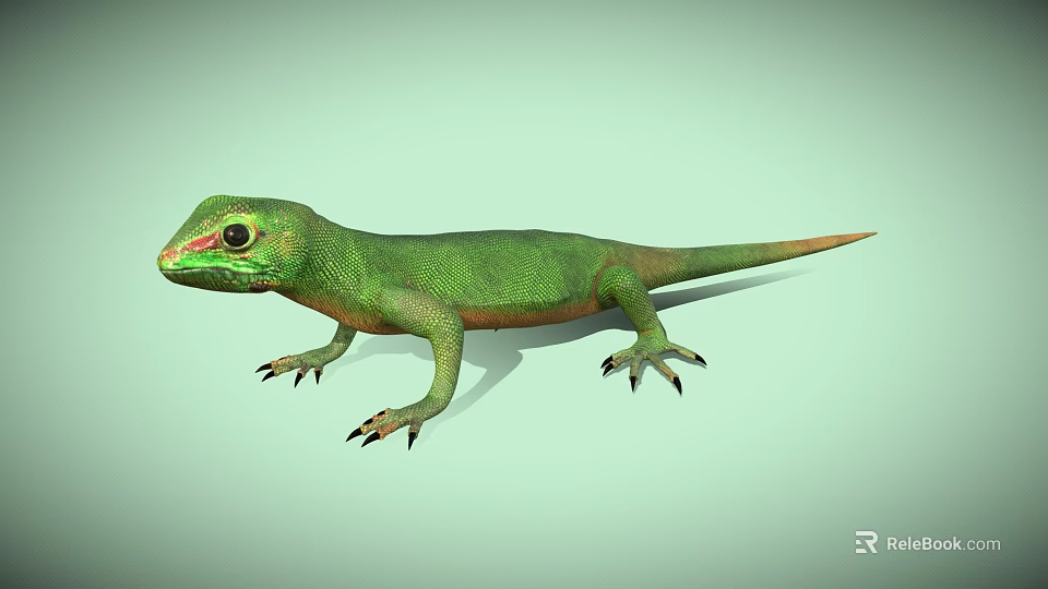 Green Lizard With Red Head Orange Body And Sharp Detailed Claws On Light Background 3d model