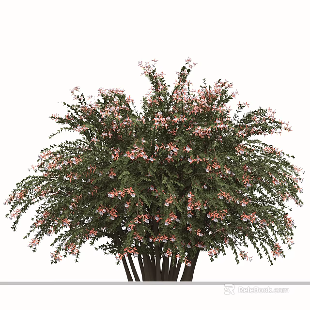 Lush Flowering Arbor Tree With Abundant Green Foliage And Pink Blossoms 3d model 