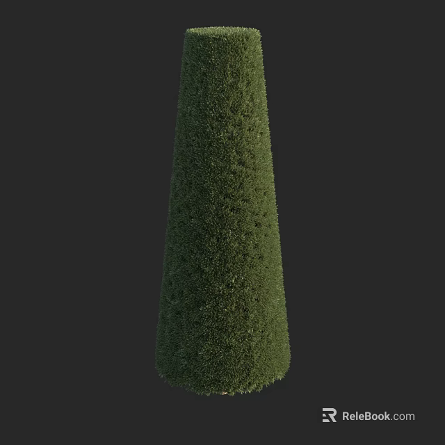 Evergreen Conical Shrub Well Pruned For Outdoor Garden Landscaping Design 3d model 