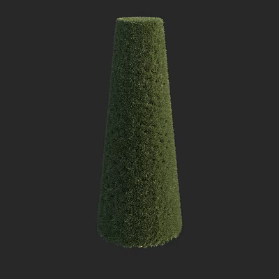 Evergreen Conical Shrub Well Pruned For Outdoor Garden Landscaping Design 3d model