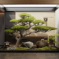 Indoor Zen Landscape With Bonsai Pine Tree Rocks Moss And Wooden Ceiling 3d model