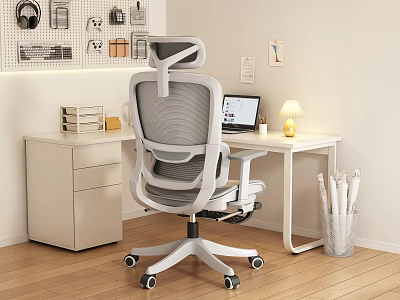 Gray Ergonomic Mesh Office Chair In Modern Home Office With Desk And Computer 3d model