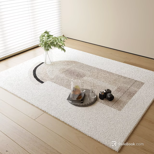 Square Rug on Wooden Floor with Tray Glass Dumbbells Near Green Plant White Blinds 3d model 