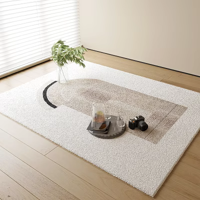 Square Rug on Wooden Floor with Tray Glass Dumbbells Near Green Plant White Blinds 3d model