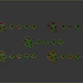 Colorful Flower Plants With Red Yellow White Pink Purple Blooms And Green Leaves Neatly Arranged