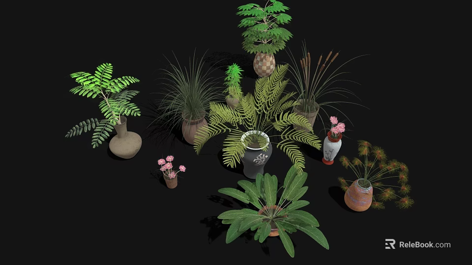 Various Types of Bonsai Potted Plants with Different Plants and Pots on Black Background 3d model 