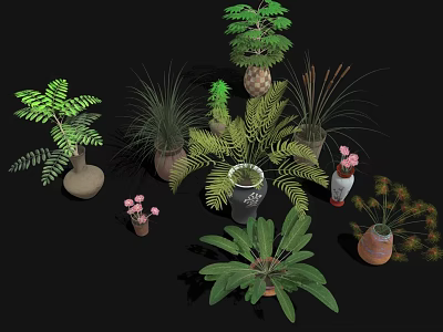 Various Types of Bonsai Potted Plants with Different Plants and Pots on Black Background 3d model