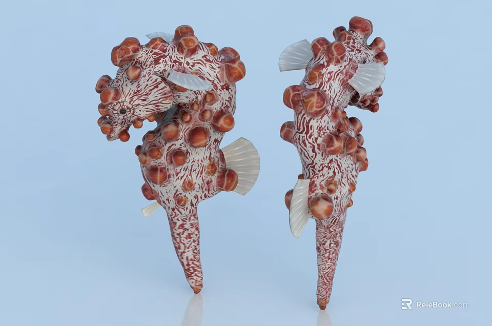 Two Red And White Spotted Seahorses With Bumpy Textured Bodies And Fins 3d model 