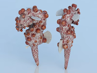 Two Red And White Spotted Seahorses With Bumpy Textured Bodies And Fins 3d model Two Red And White Spotted Seahorses With Bumpy Textured Bodies And Fins 3d model