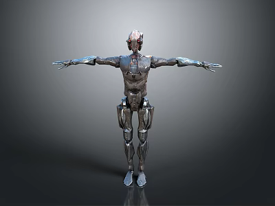 Silver Metallic Humanoid Robot With Outstretched Arms And Mechanical Structure 3d model