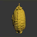 Golden Snail With Ornate Spiral Shell And Lustrous Surface Design