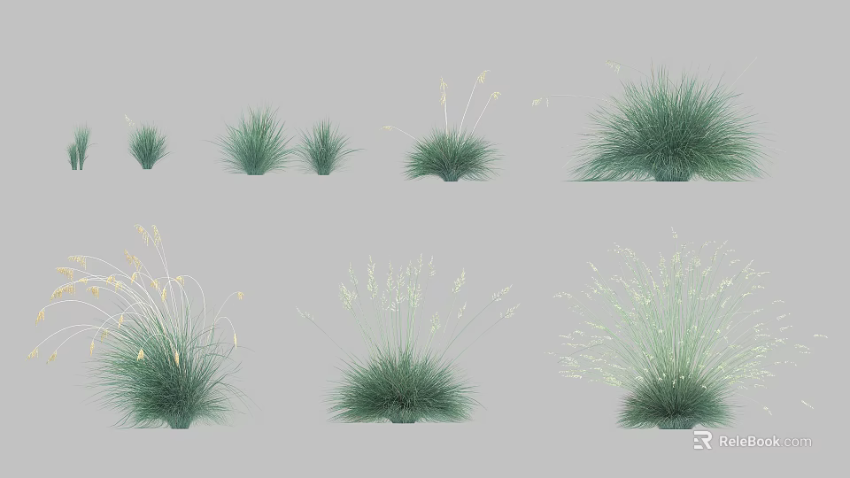 Various Types of Green Grass Plants with Different Sizes and Natural Foliage 3d model 