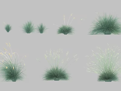 Various Types of Green Grass Plants with Different Sizes and Natural Foliage 3d model
