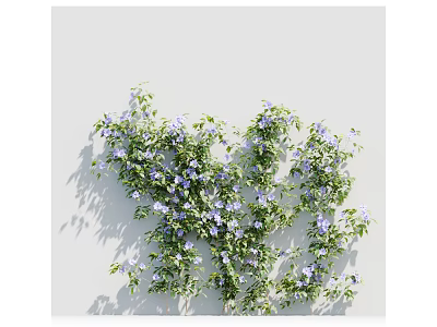 Climbing Vines With Lush Green Leaves And Purple Flowers On White Wall 3d model