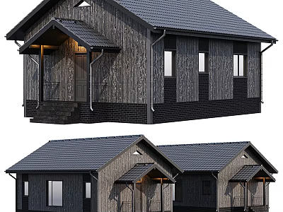 Detached House With Wooden Exterior Dark Roof Porch Windows And Lighting Design 3d model