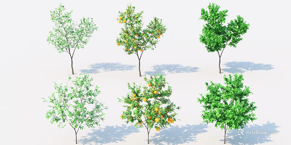 Six Varieties of Trees Featuring Green Leaves and Orange Fruits in Arrangement 3d model 