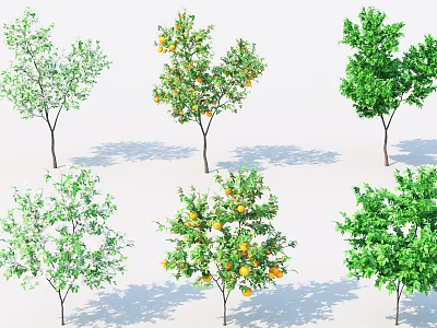 Six Varieties of Trees Featuring Green Leaves and Orange Fruits in Arrangement 3d model