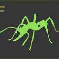 Detailed White Ant Model Displayed on Black Background with Clear Reflection 3d model
