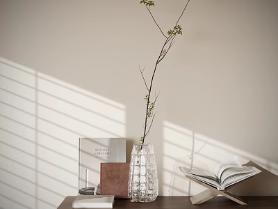 Fresh Aquatic Plant Sprig in Transparent Vase with Books and Blinds Shadow on Light Wall 3d model