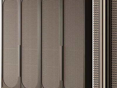 Modern Wardrobe With Mesh Panel Doors And Metal Frame Design For Storage 3d model