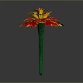 Vibrant Red And Yellow Petaled Flower With Green Stem On Dark Background