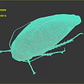 Detailed Close Up View Of Brown Cockroach Body Exoskeleton On Dark Background