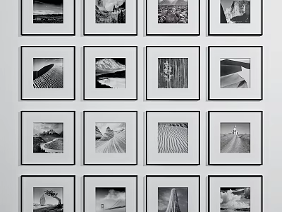 Stylish Black And White Photo Wall With Multiple Framed Pictures And Grid Arrangement 3d model