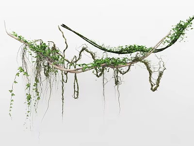 Lush Hanging Basket Plants With Green Leaves And Trailing Vines For Home Decoration 3d model