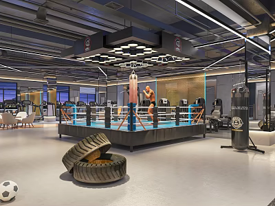 Modern Indoor Fitness Gym Featuring Boxing Ring Punching Bag Training Tires And Soccer Ball 3d model