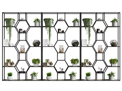 Stylish Hexagonal Grid Shelf With Potted Green Plants And Decorative Items 3d model