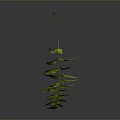 Green Pinnate Plant Leaf With Multiple Leaflets Long Petiole And Red Tip 3d model