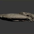 Chi chrysanthemum stone ancient fossil stone chrysanthemum fossil items 3d model